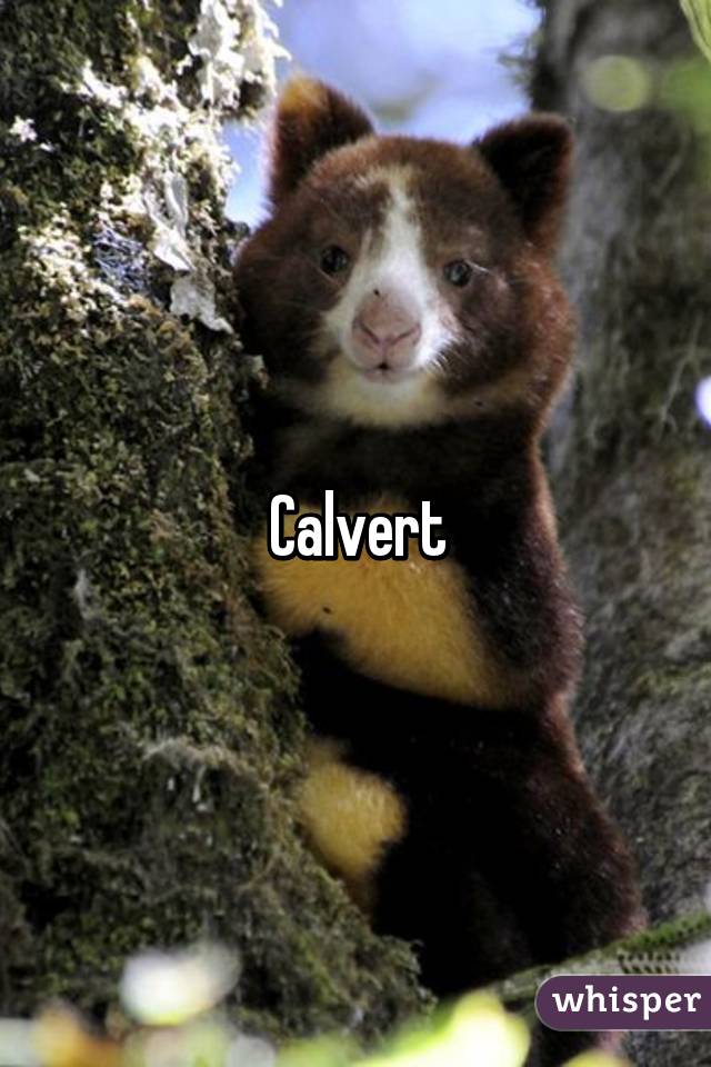 Calvert