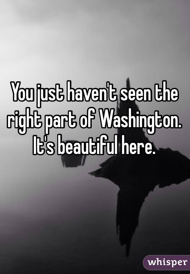 You just haven't seen the right part of Washington. It's beautiful here.