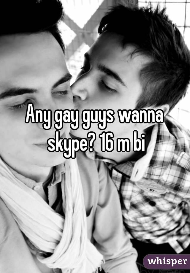 Any gay guys wanna skype? 16 m bi