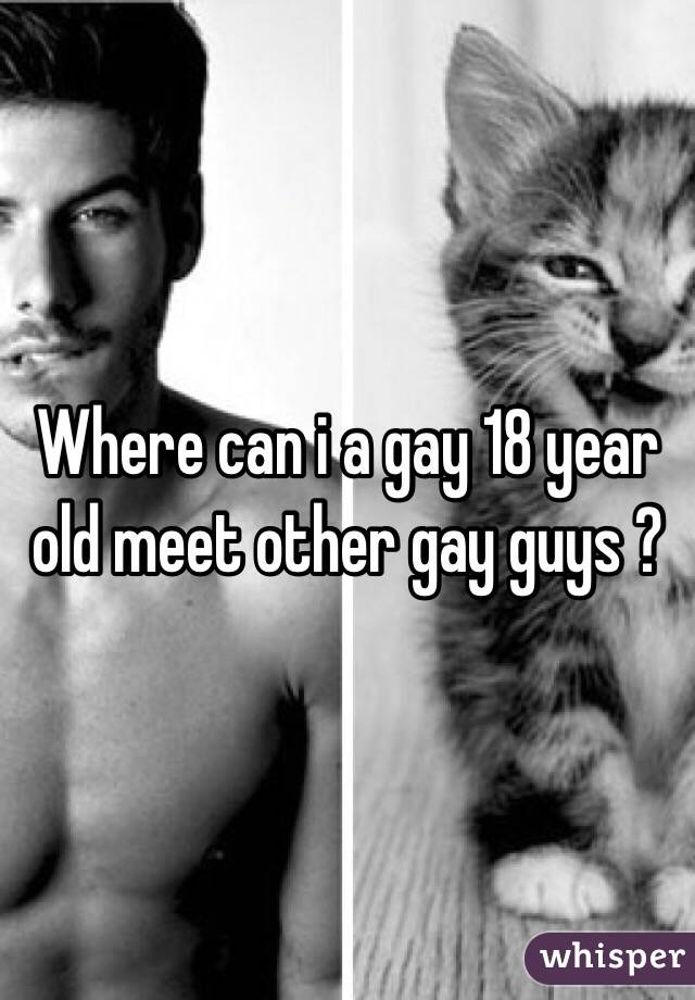 Where can i a gay 18 year old meet other gay guys ?