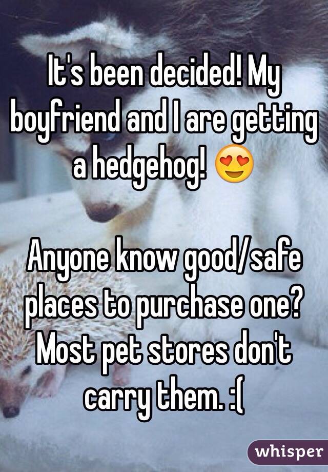 It's been decided! My boyfriend and I are getting a hedgehog! 😍

Anyone know good/safe places to purchase one? Most pet stores don't carry them. :(