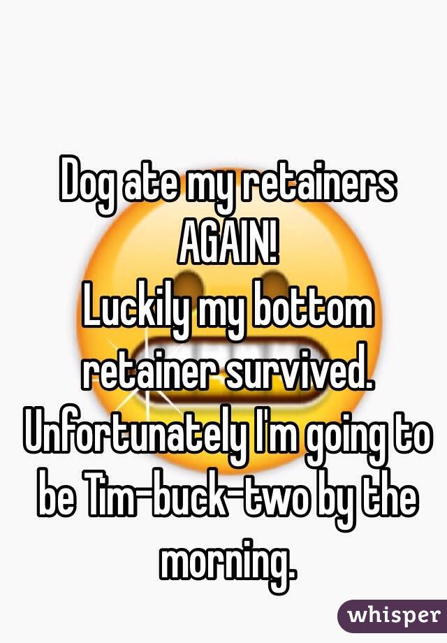Dog ate my retainers AGAIN!
Luckily my bottom retainer survived.
Unfortunately I'm going to be Tim-buck-two by the morning.