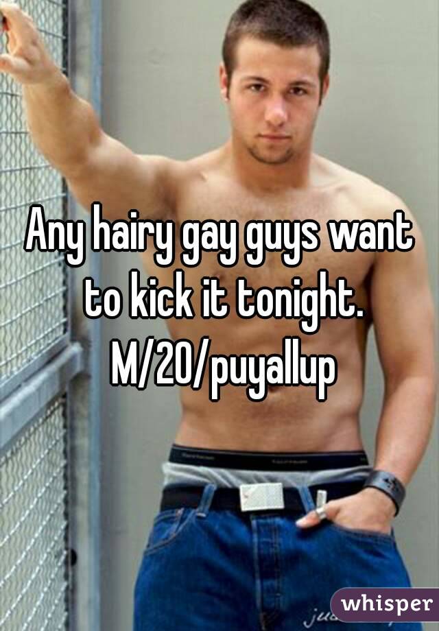 Any hairy gay guys want to kick it tonight. M/20/puyallup