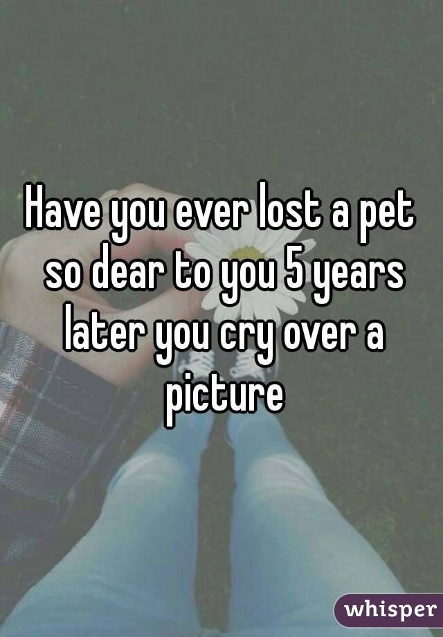 Have you ever lost a pet so dear to you 5 years later you cry over a picture
