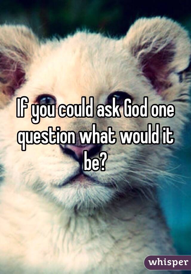 If you could ask God one question what would it be?