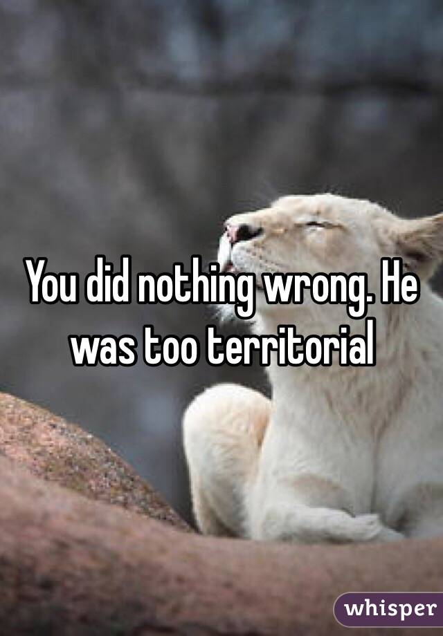 You did nothing wrong. He was too territorial