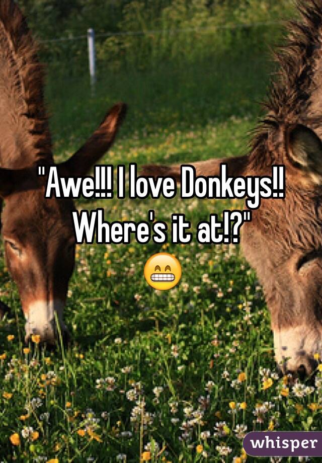 "Awe!!! I love Donkeys!! Where's it at!?"
😁