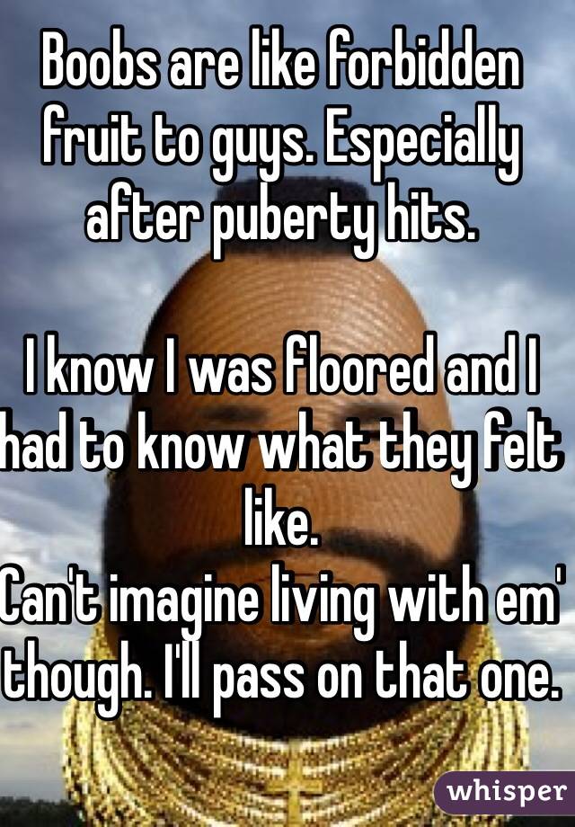 Boobs are like forbidden fruit to guys. Especially after puberty hits.

I know I was floored and I had to know what they felt like.
Can't imagine living with em' though. I'll pass on that one. 