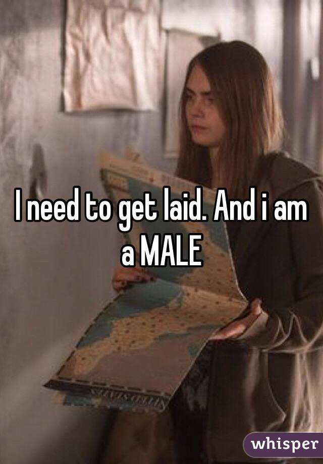 I need to get laid. And i am a MALE