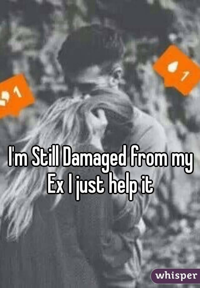 I'm Still Damaged from my Ex I just help it 