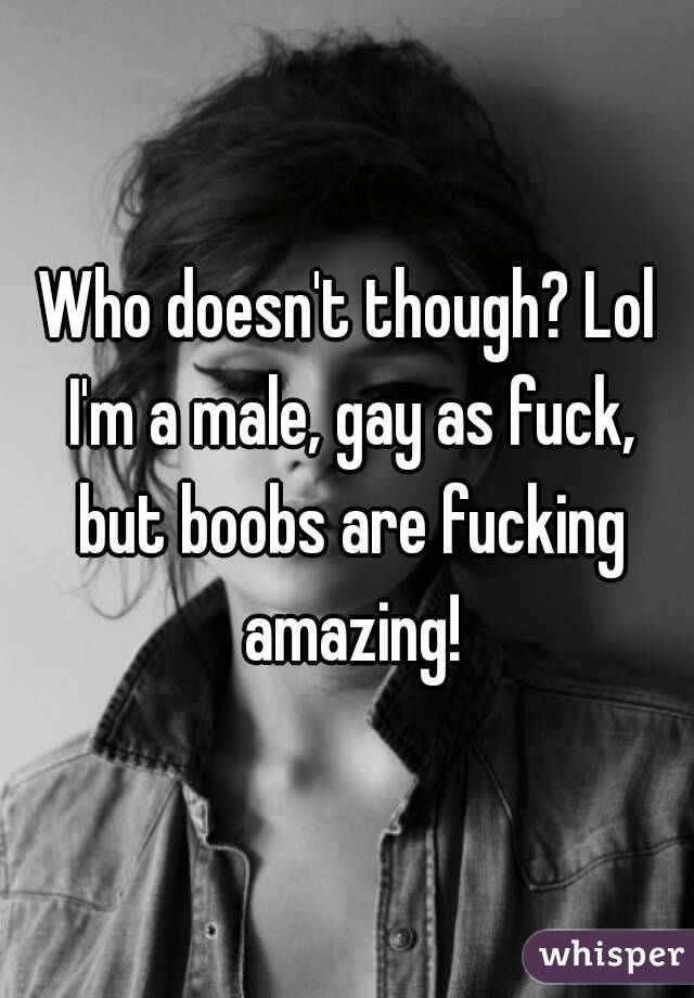 Who doesn't though? Lol I'm a male, gay as fuck, but boobs are fucking amazing!