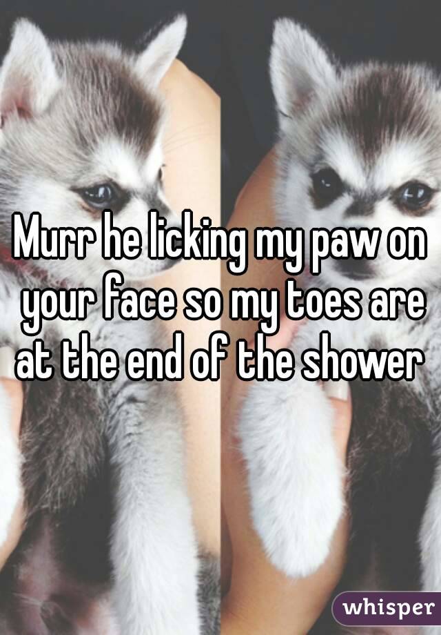 Murr he licking my paw on your face so my toes are at the end of the shower 