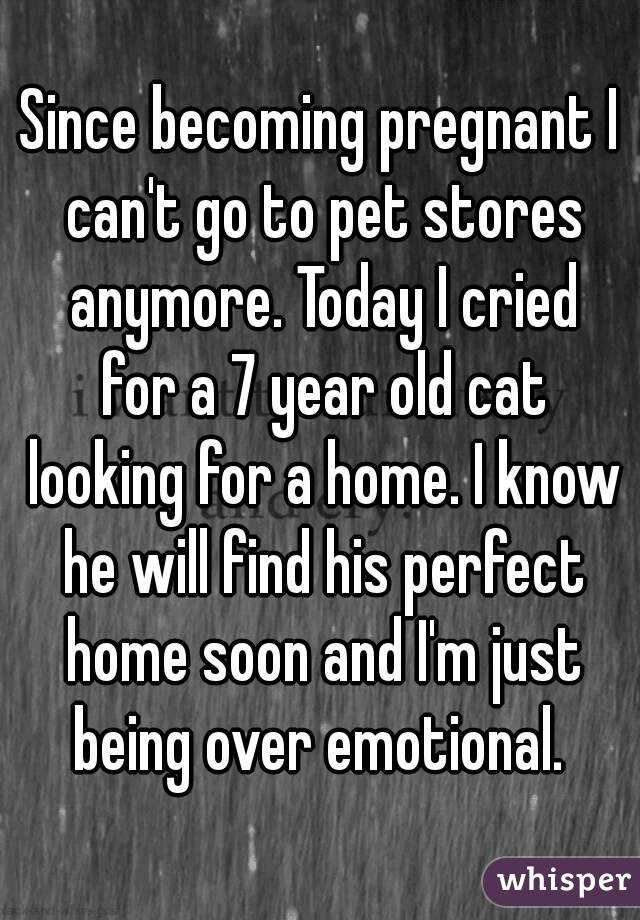 Since becoming pregnant I can't go to pet stores anymore. Today I cried for a 7 year old cat looking for a home. I know he will find his perfect home soon and I'm just being over emotional. 