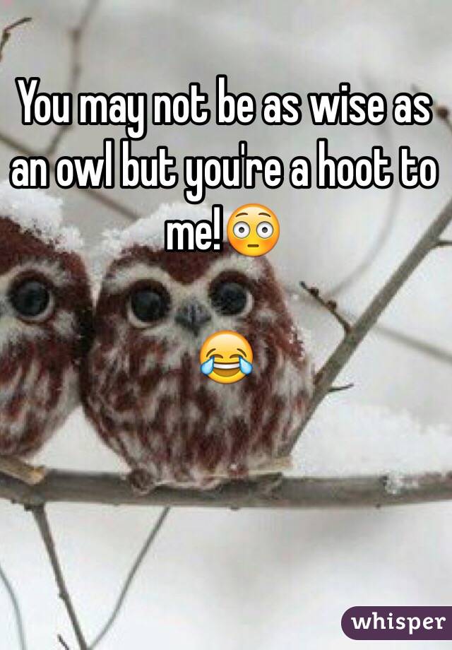 You may not be as wise as an owl but you're a hoot to me!😳

😂