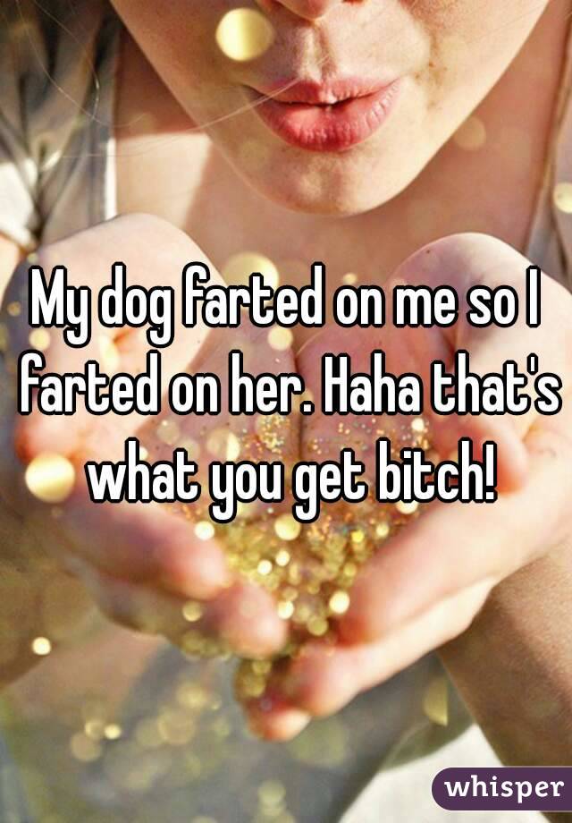 My dog farted on me so I farted on her. Haha that's what you get bitch!