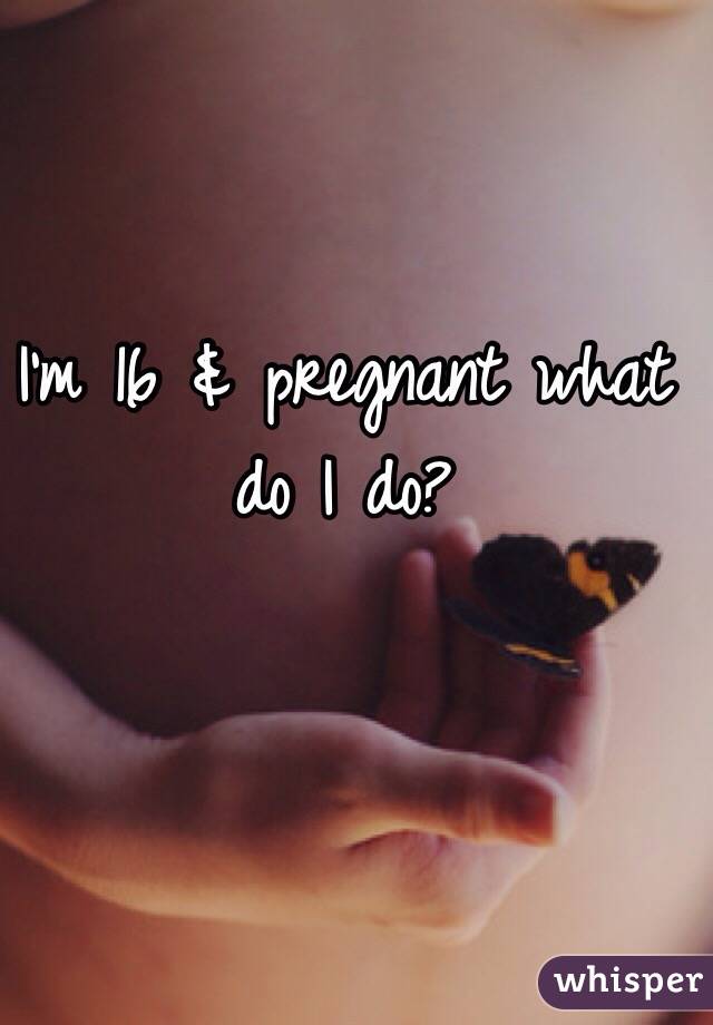 I'm 16 & pregnant what do I do? 
