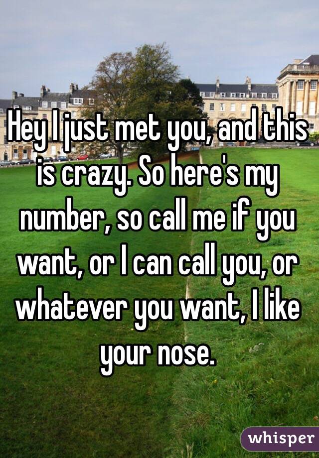 Hey I just met you, and this is crazy. So here's my number, so call me if you want, or I can call you, or whatever you want, I like your nose. 