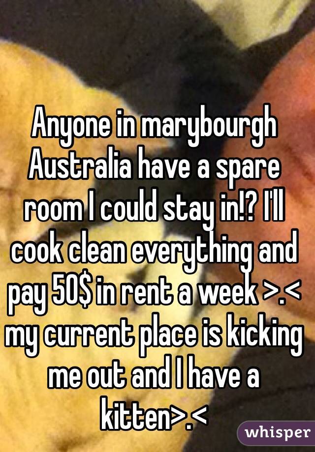 Anyone in marybourgh Australia have a spare room I could stay in!? I'll cook clean everything and pay 50$ in rent a week >.< my current place is kicking me out and I have a kitten>.< 