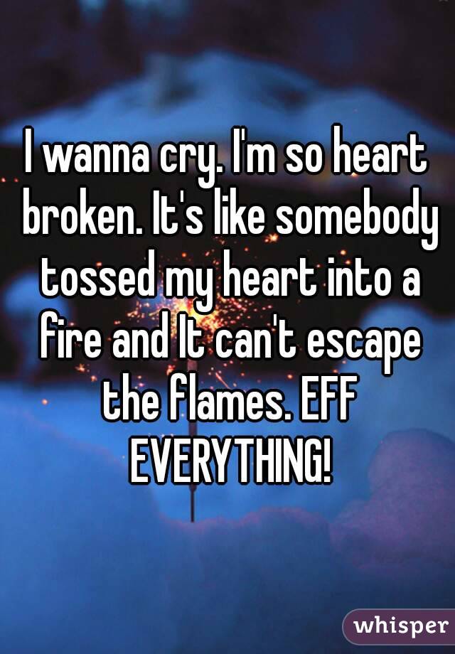 I wanna cry. I'm so heart broken. It's like somebody tossed my heart into a fire and It can't escape the flames. EFF EVERYTHING!