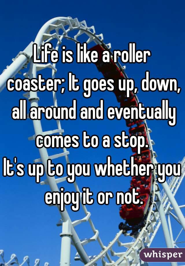 Life is like a roller coaster; It goes up, down, all around and eventually comes to a stop. 
It's up to you whether you enjoy it or not.