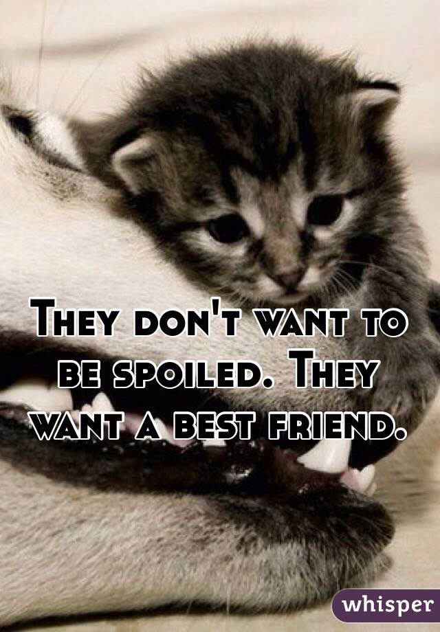 They don't want to be spoiled. They want a best friend.