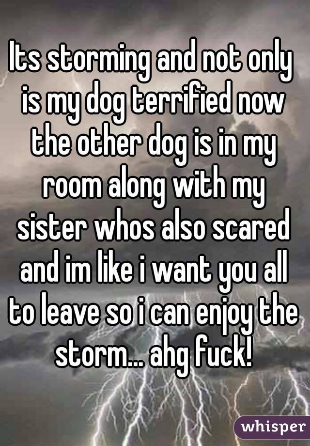 Its storming and not only is my dog terrified now the other dog is in my room along with my sister whos also scared and im like i want you all to leave so i can enjoy the storm... ahg fuck!