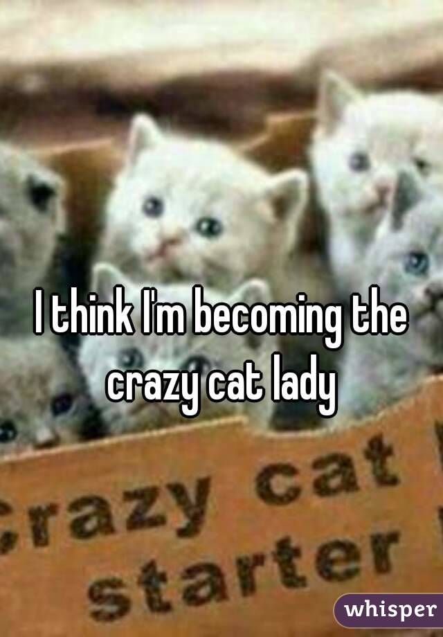I think I'm becoming the crazy cat lady 