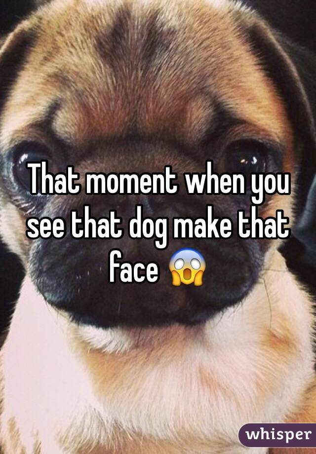That moment when you see that dog make that face 😱