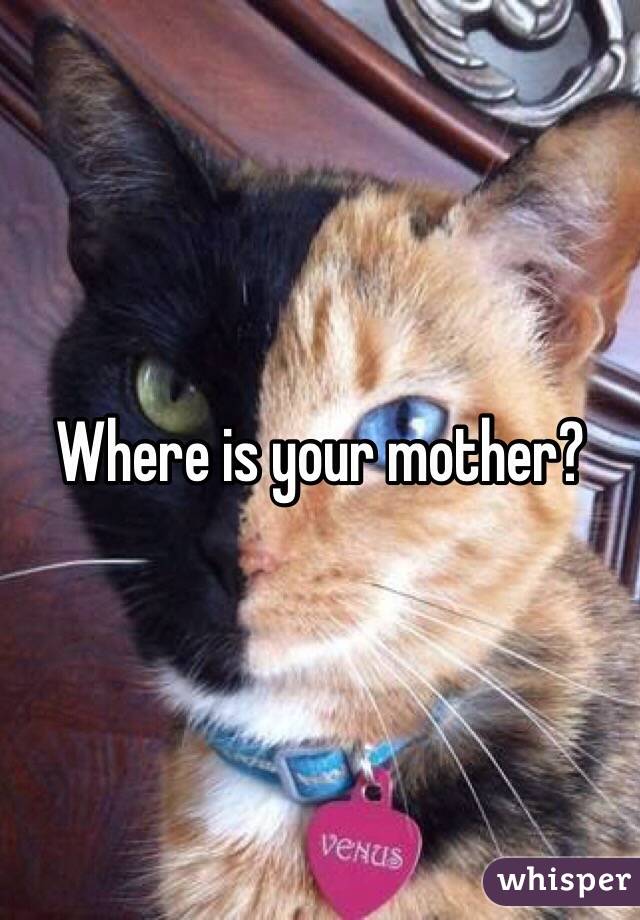 where-is-your-mother