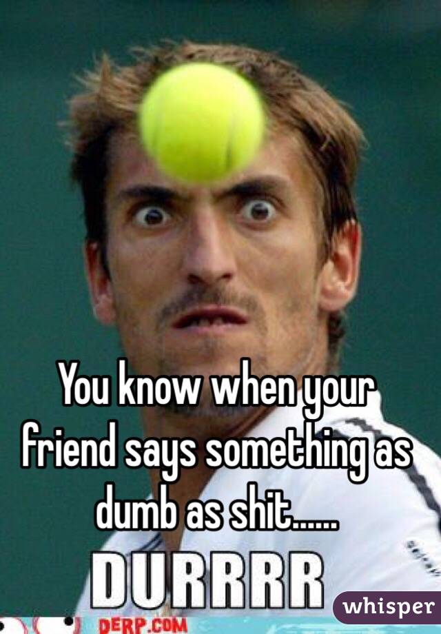 You know when your friend says something as dumb as shit......