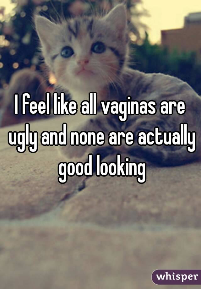 I feel like all vaginas are ugly and none are actually good looking