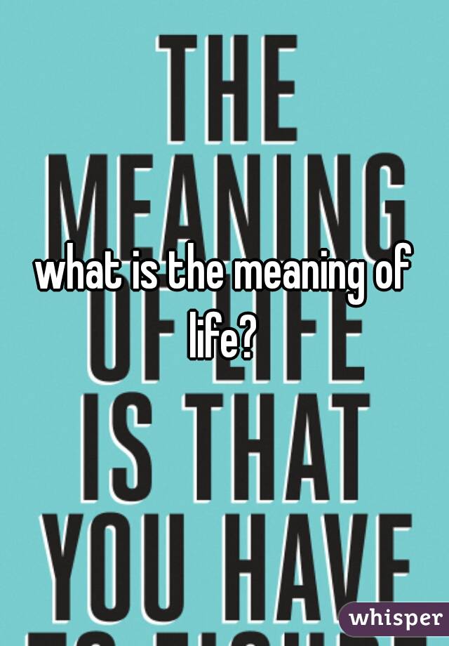 what is the meaning of life? 