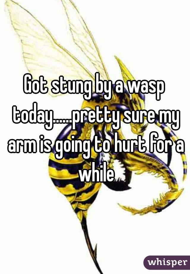 Got stung by a wasp today......pretty sure my arm is going to hurt for a while