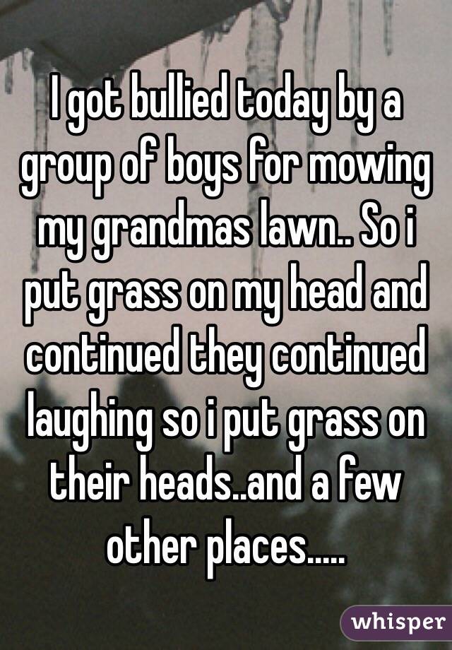 I got bullied today by a group of boys for mowing my grandmas lawn.. So i put grass on my head and continued they continued laughing so i put grass on their heads..and a few other places.....