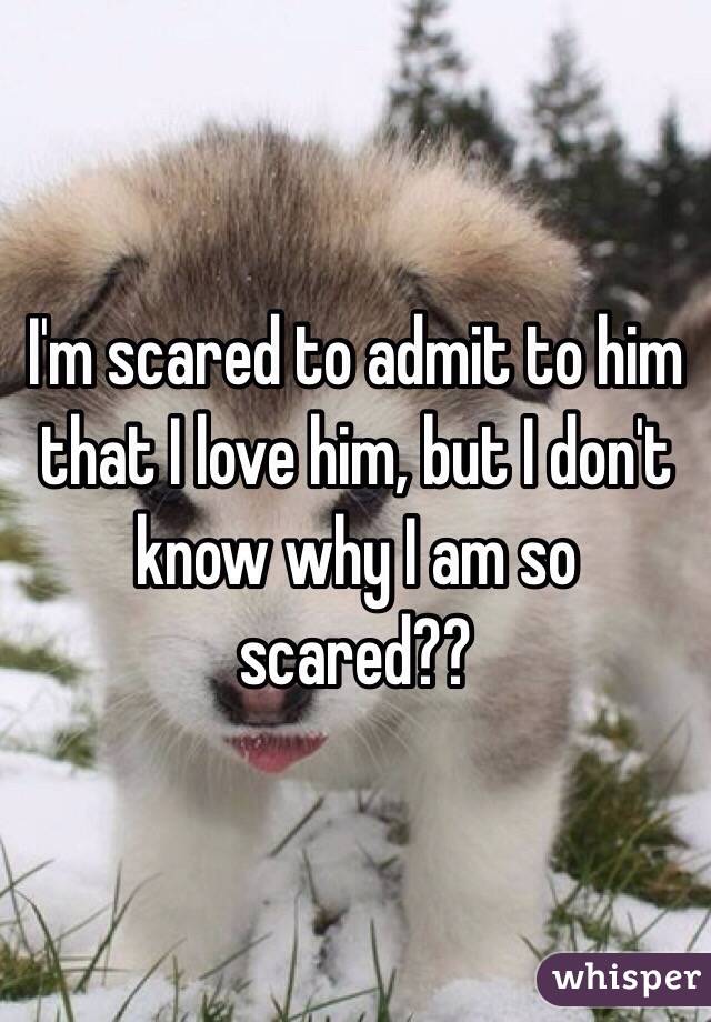 I'm scared to admit to him that I love him, but I don't know why I am so scared??