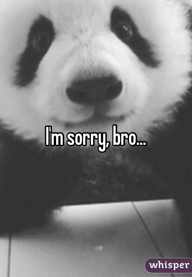 I'm sorry, bro... 
