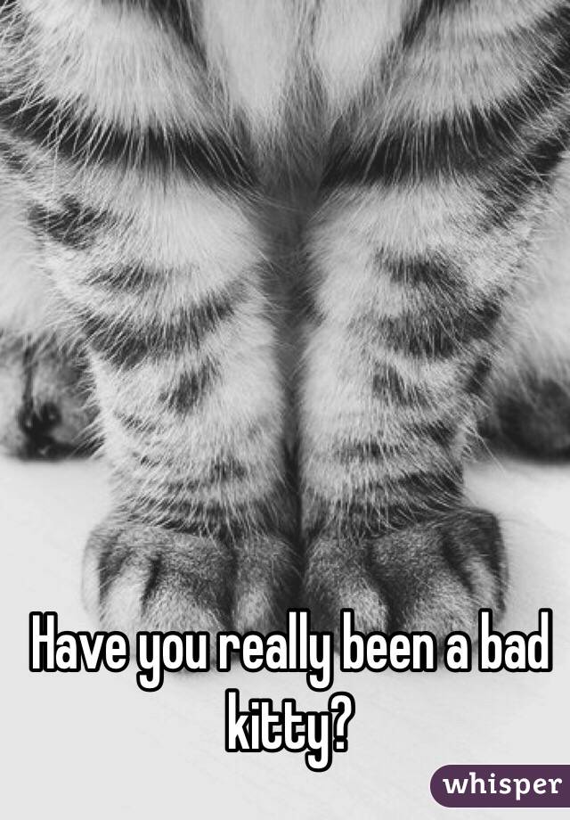 Have you really been a bad kitty? 