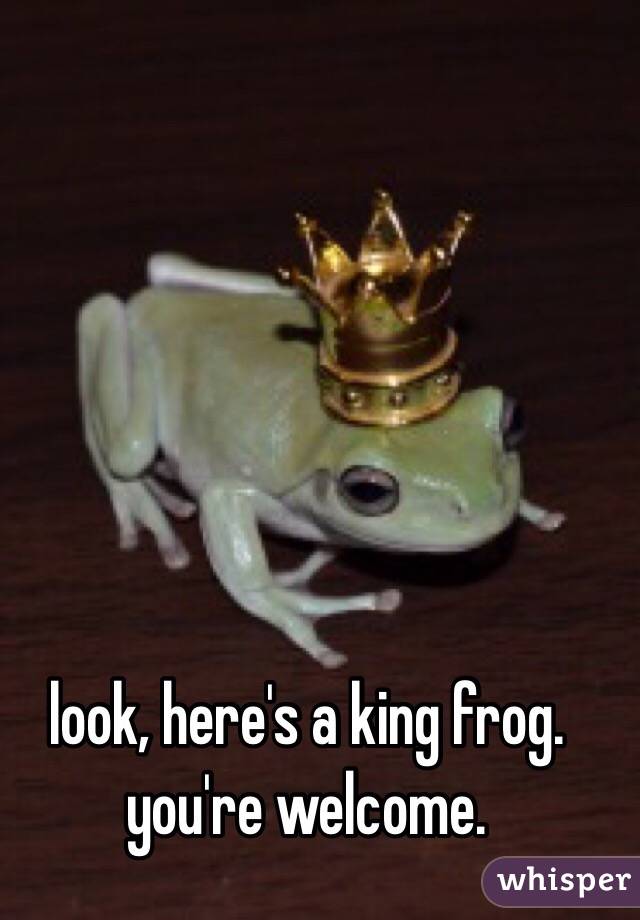 look, here's a king frog. you're welcome.