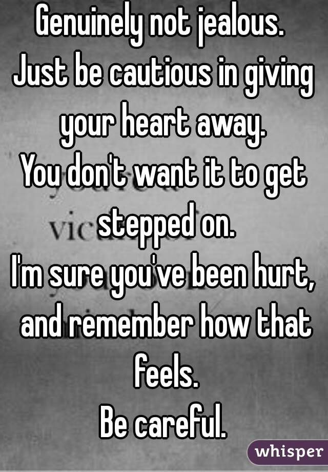 Genuinely not jealous. 
Just be cautious in giving your heart away. 
You don't want it to get stepped on.
I'm sure you've been hurt, and remember how that feels.
Be careful.