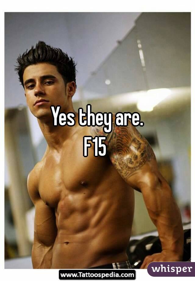 Yes they are.
F15 