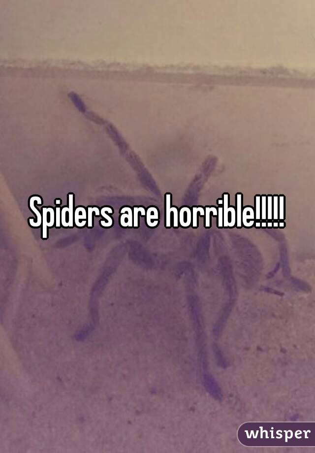 Spiders are horrible!!!!!