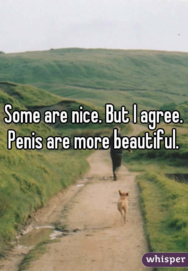 Some are nice. But I agree. Penis are more beautiful. 