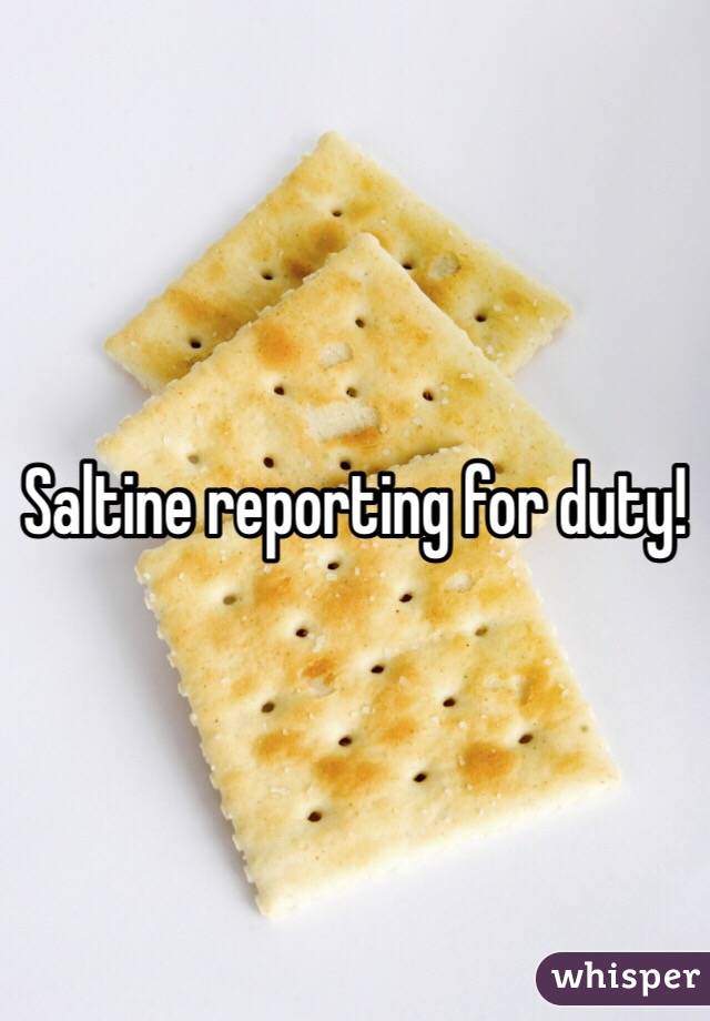 Saltine reporting for duty! 