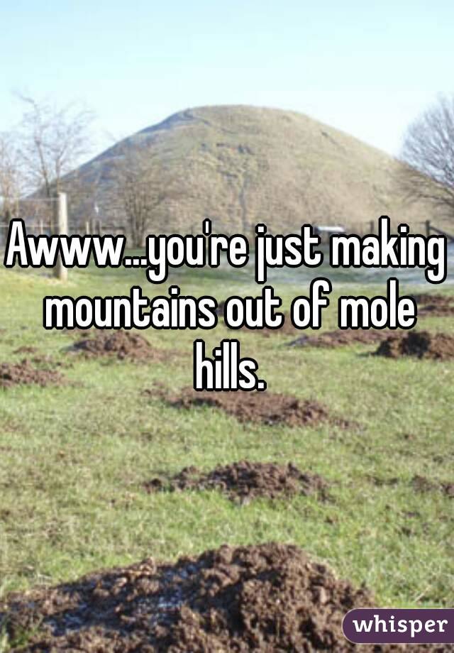 Awww...you're just making mountains out of mole hills.