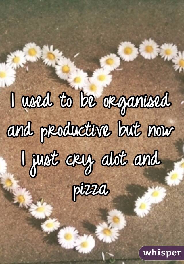 I used to be organised and productive but now I just cry alot and pizza