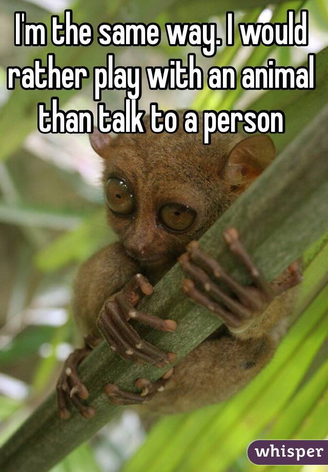 I'm the same way. I would rather play with an animal than talk to a person