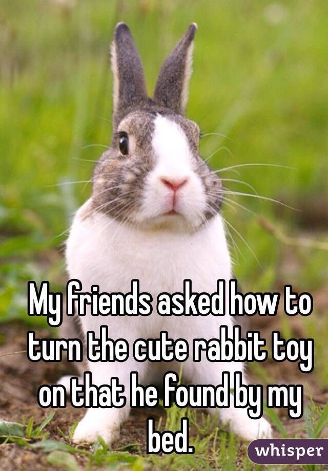 My friends asked how to turn the cute rabbit toy on that he found by my bed.