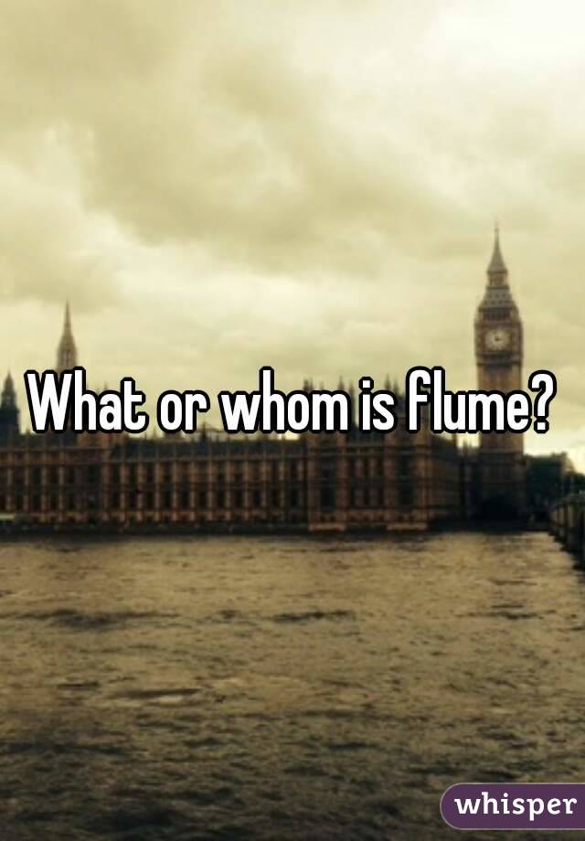 What or whom is flume?