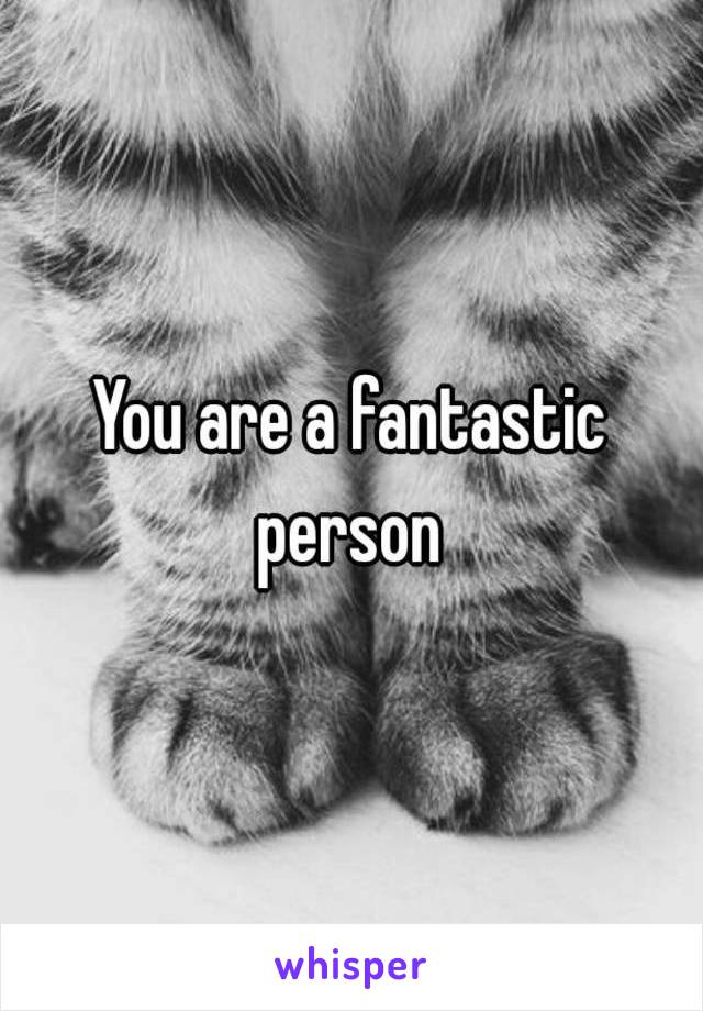 You are a fantastic person 