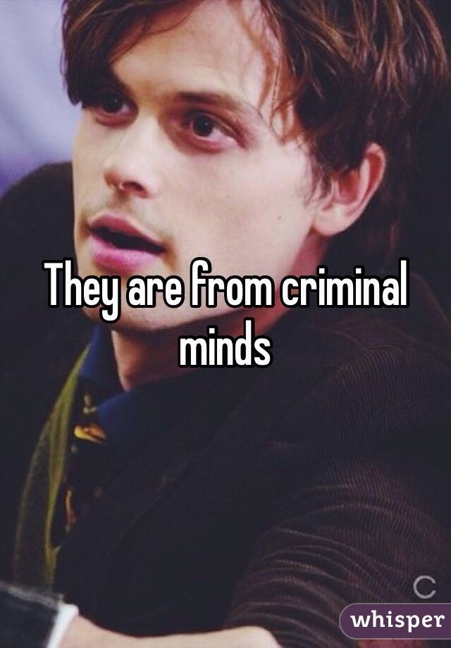 They are from criminal minds